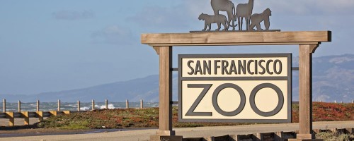 Discount tickets for wildlife zoo